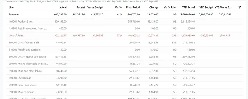 Management P&L in Odoo with actual, budget, variance, prior period and year to date columns